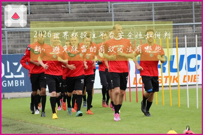 2026世界杯投注平台安全性如何判断，避免踩雷的有效方法有哪些