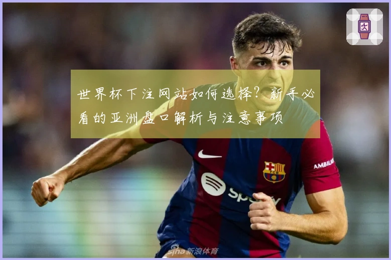 世界杯下注网站如何选择？新手必看的亚洲盘口解析与注意事项
