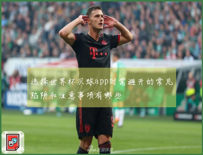 选择世界杯买球app时需避开的常见陷阱和注意事项有哪些